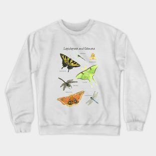 Butterflies and Dragonflies Crewneck Sweatshirt